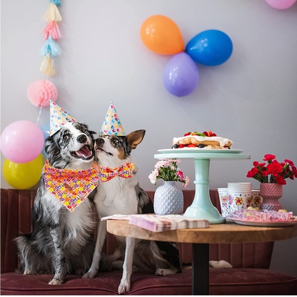 Dog Bandanas 2PC Set - Picture 5 of 8